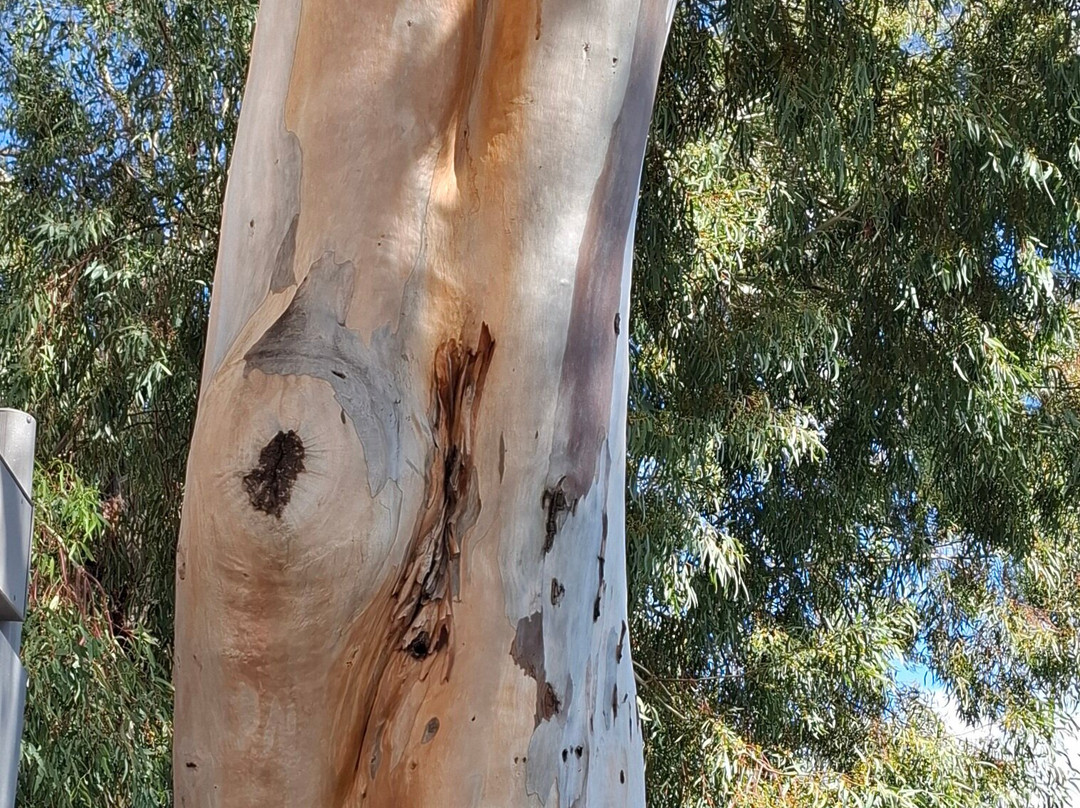 Mirador de La Orilla-San Bartolome de Tirajana必去景点