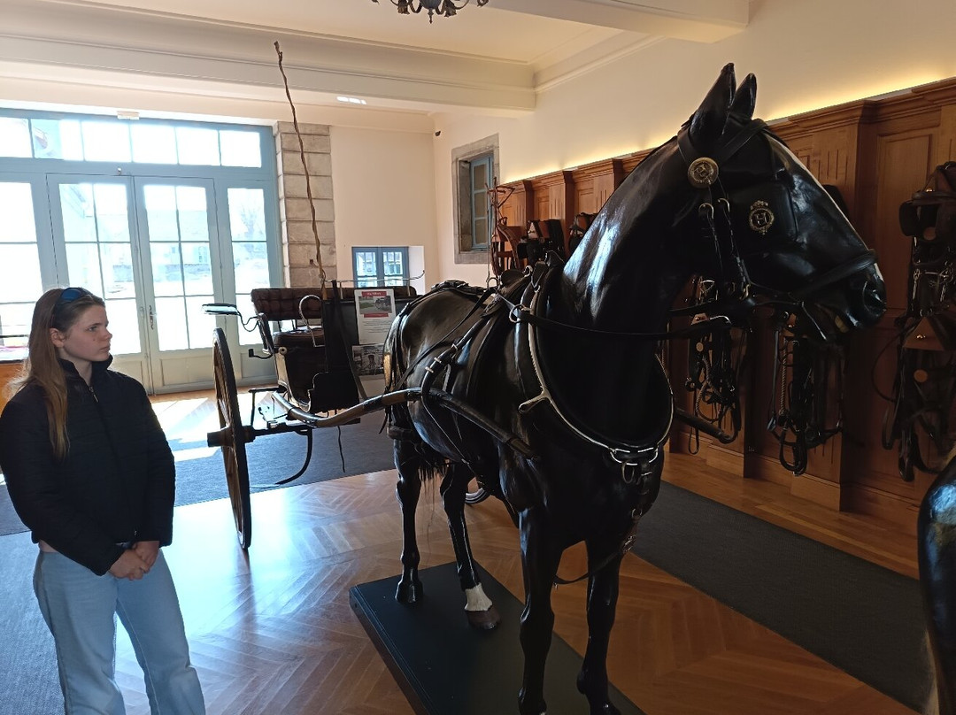 LE HARAS DE TARBES-塔布必去景点