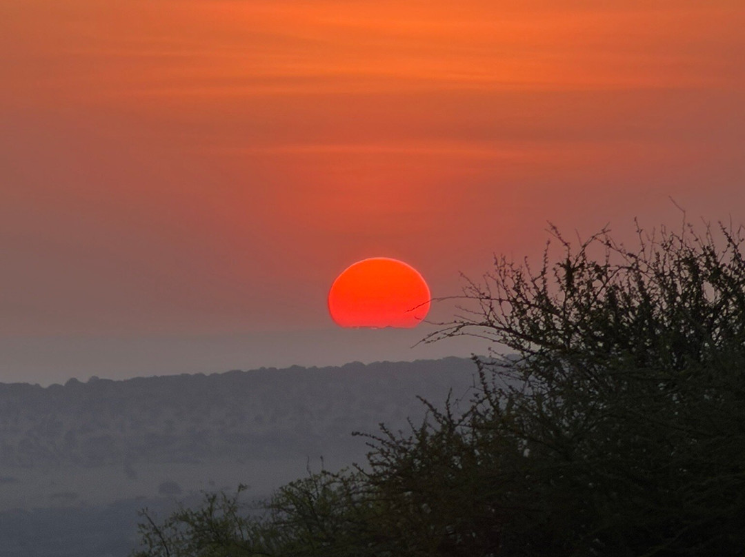 East African Safari And Touring Company-阿鲁沙必去景点