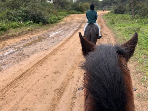 Centro Ecuestre Entrepinares-塞维利亚必去景点
