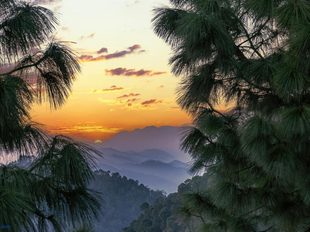 Snowfall View Home Kasauli Operated By Splendid Hotels