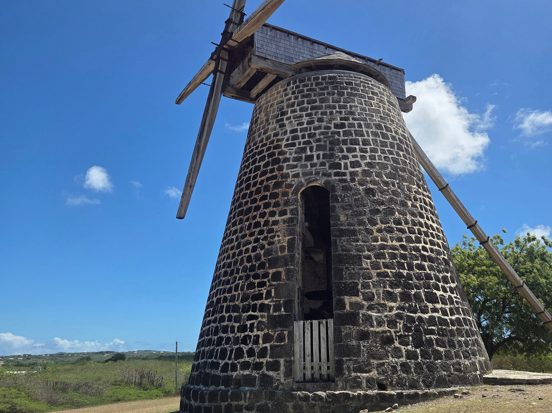 Tropical Adventures - Island Safari-圣 约翰必去景点