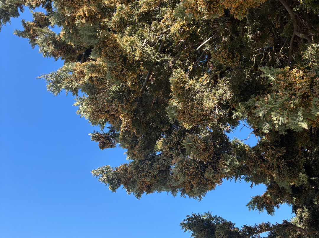 Il Molino di Grace Winery-Panzano in Chianti必去景点