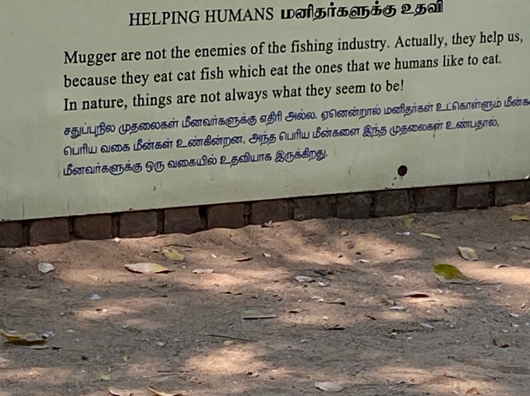 The Madras Crocodile Bank Trust and Centre for Herpetology-玛玛拉普蓝必去景点