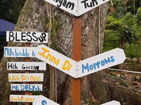 Rainforest Reef Escape-Cabo Matapalo必去景点