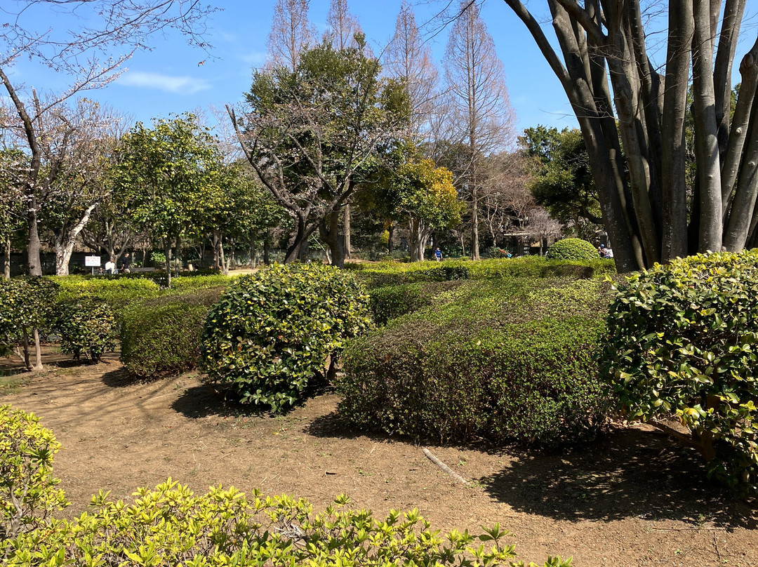Ageo Maruyama Park-上尾市必去景点