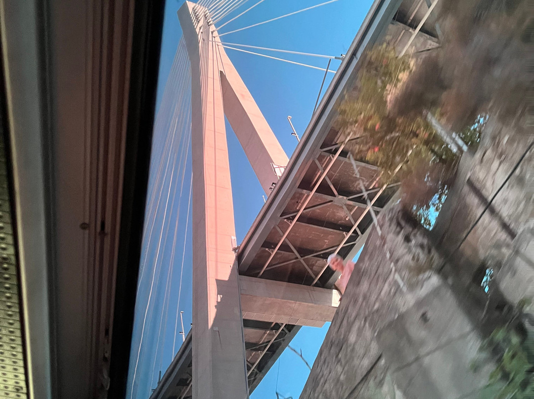 Most Dr. Franja Tuđmana-杜布罗夫尼克必去景点