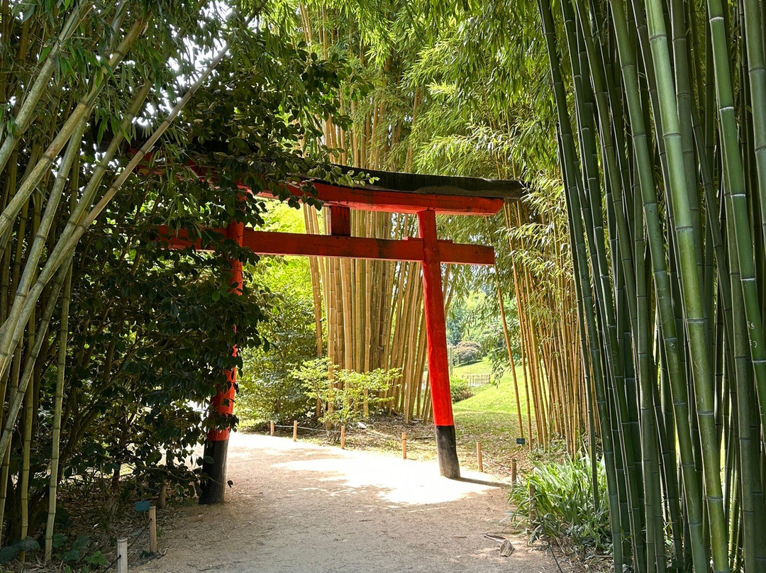 La Bambouseraie En Cévennes-Generargues必去景点