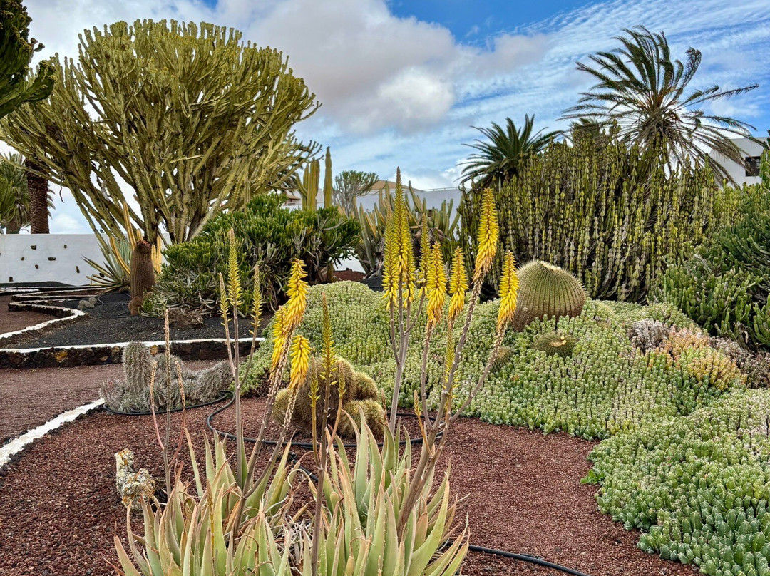 Museo del Queso Majorero-Antigua必去景点
