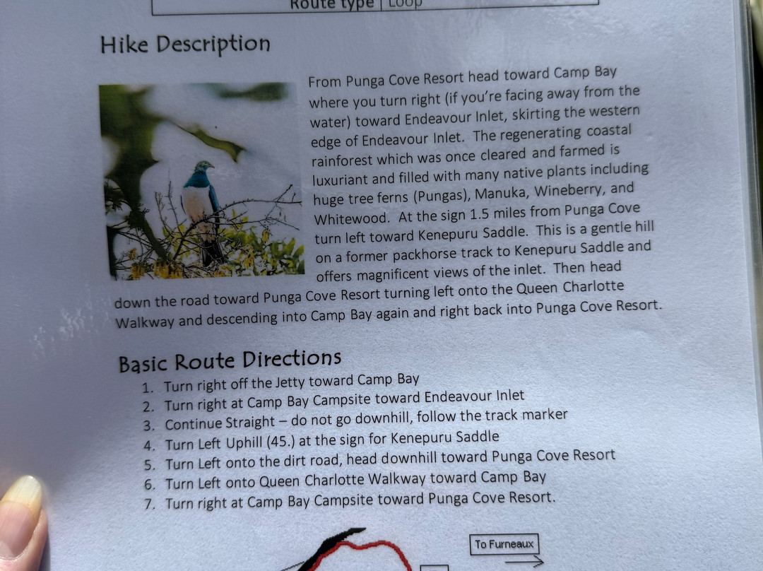 Beachcomber Cruises-皮克顿必去景点