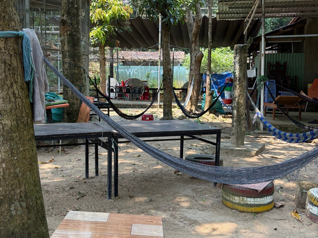 Quang Easyrider - Day Tours-岘港必去景点