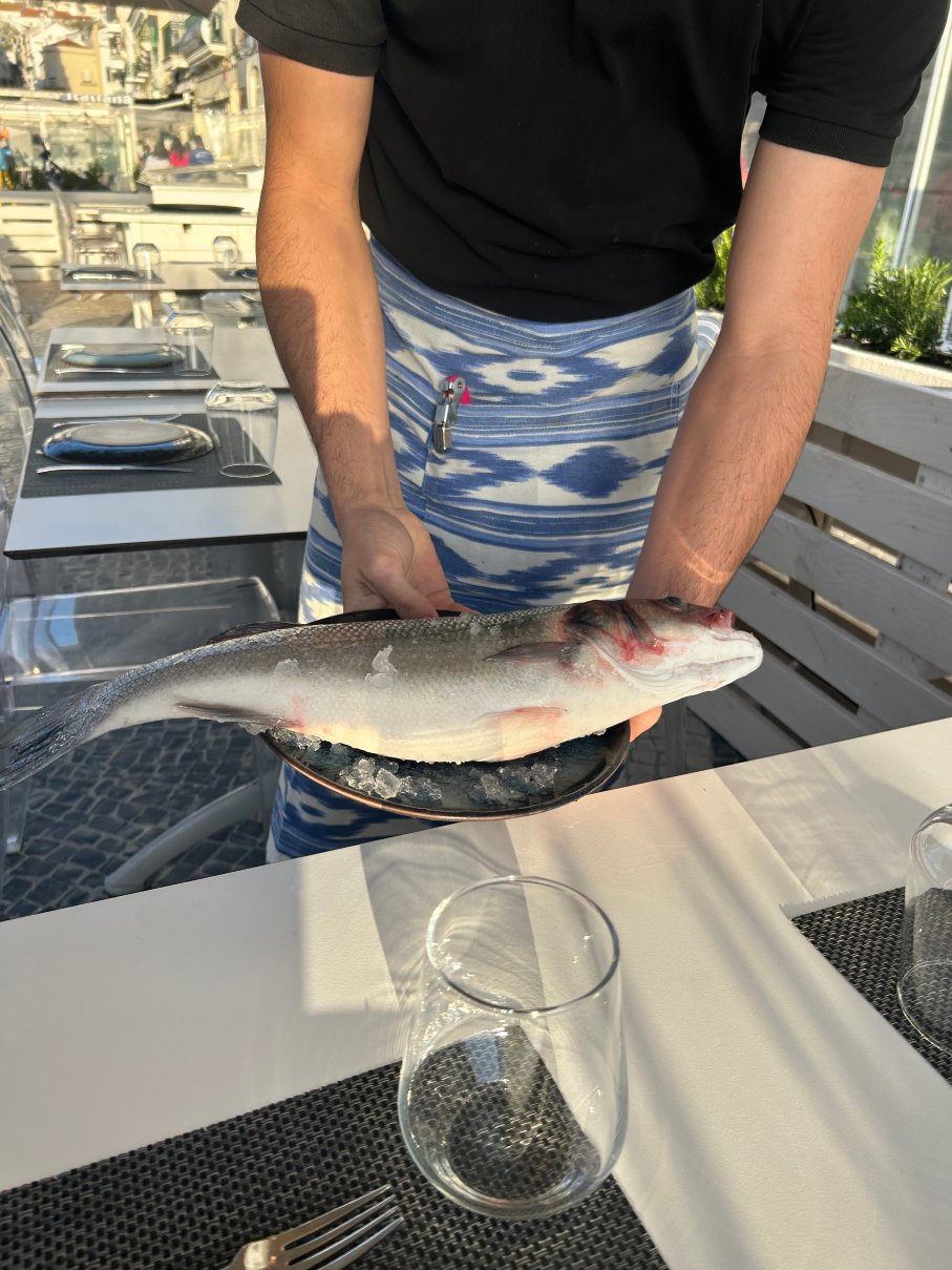 马尔布拉沃酒店-官方