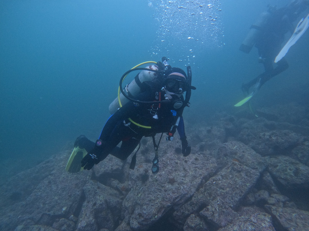 Baja Blue Diver-恩塞纳达必去景点