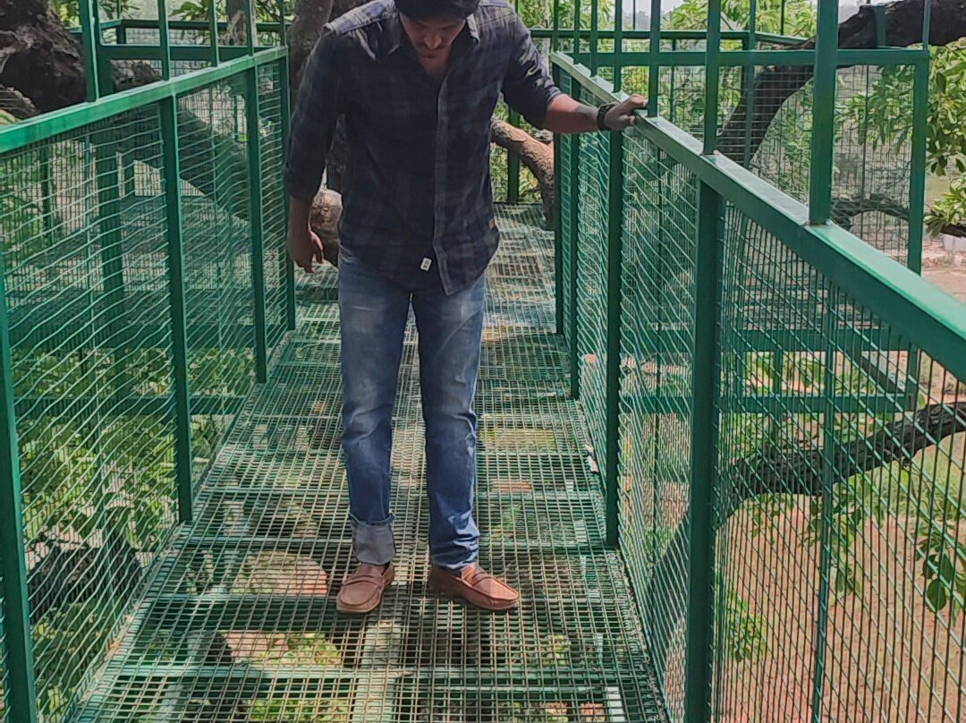 Cloud Forest Entertainment Park-Yelagiri必去景点