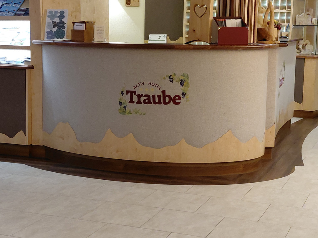 特劳贝阿克提夫酒店主图