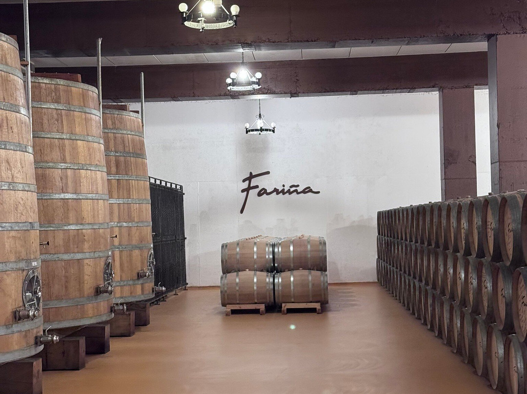 Bodegas Fariña-Toro必去景点