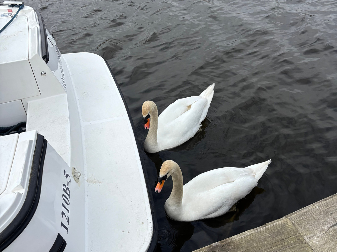 Herbert Woods-诺威奇必去景点