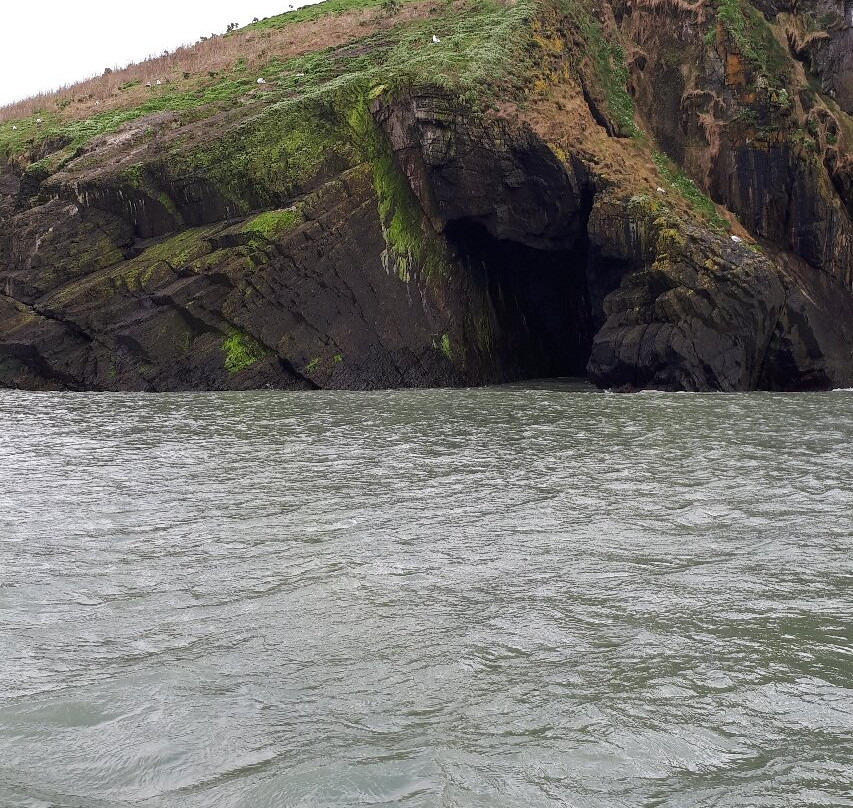 A Bay To Remember Wildlife Boat Trips-St. Dogmaels必去景点