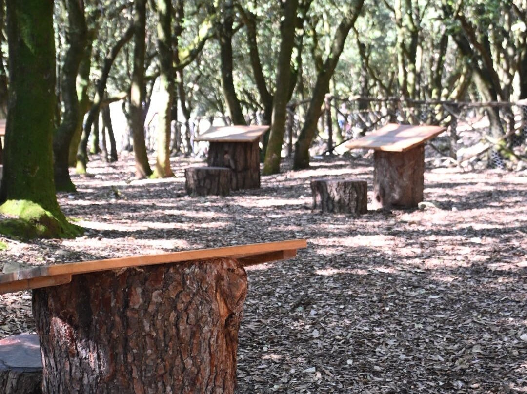 Città Della Domenica-佩鲁贾必去景点