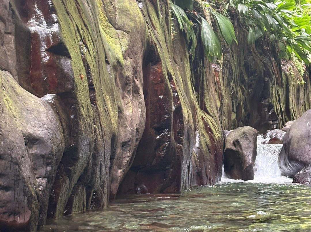 Canyon Moustique-Petit-Bourg必去景点