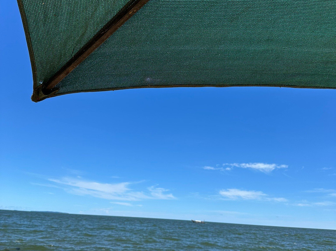 Lake Victoria | Chimpanzee island tours-恩德培必去景点