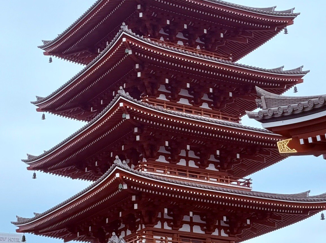 Firebird Tours-罗马必去景点