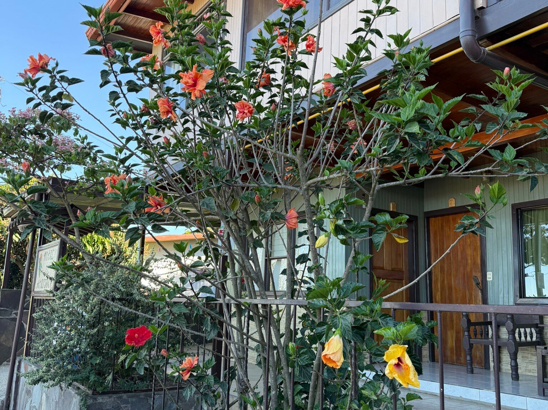 艾尔阿塔德瑟酒店主图