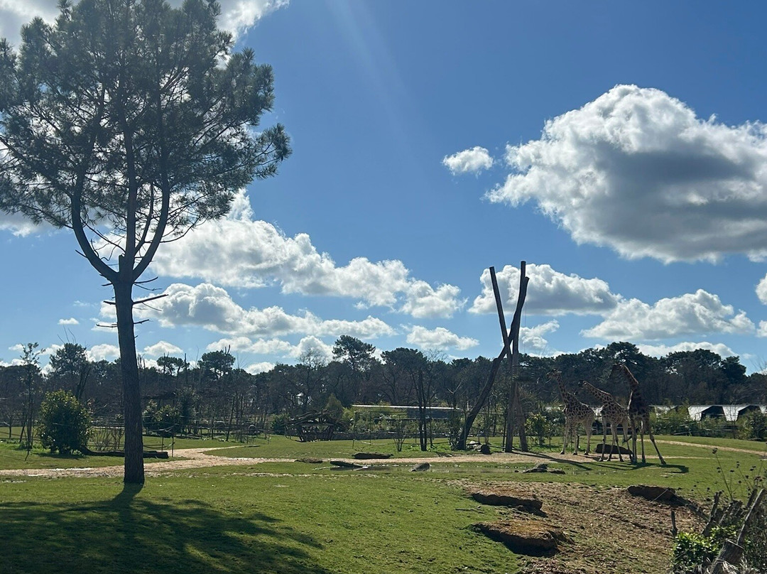 Zoo de La Fleche-La Fleche必去景点