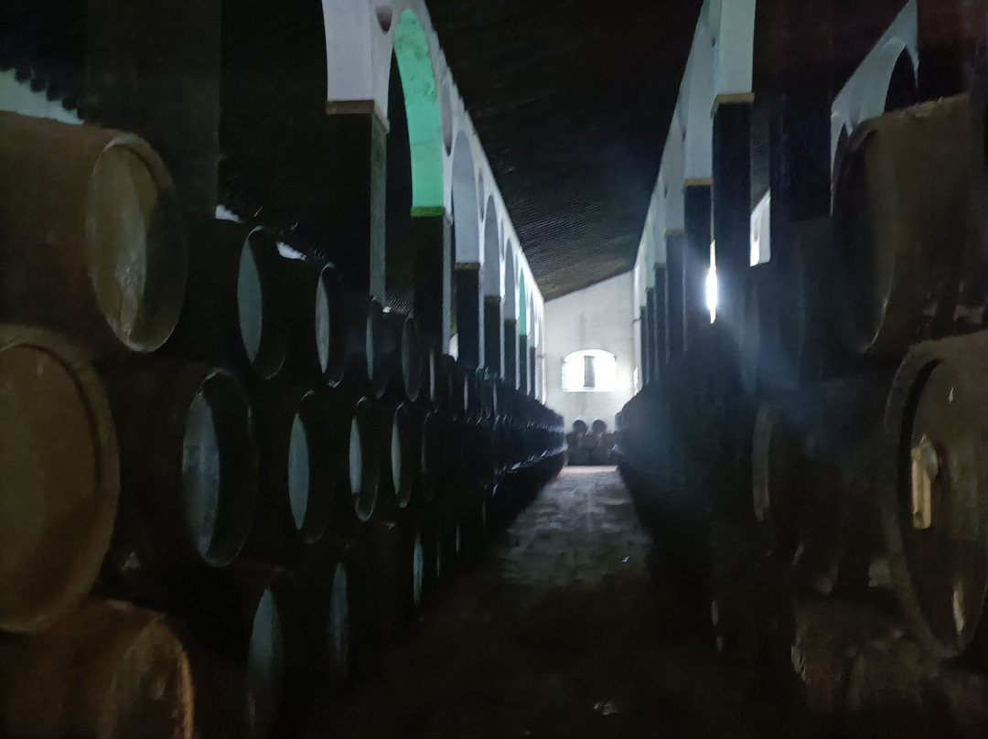 Bodegas Barbadillo-Sanlucar de Barrameda必去景点