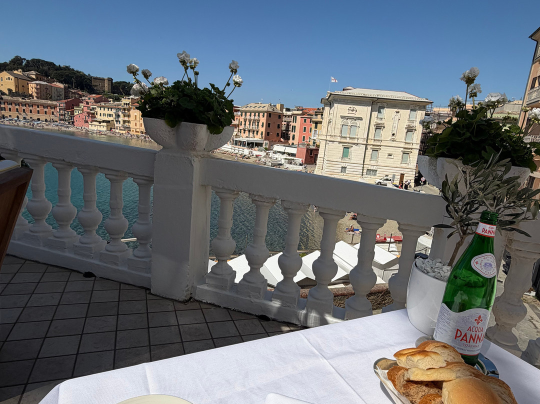 赫尔维蒂亚酒店主图