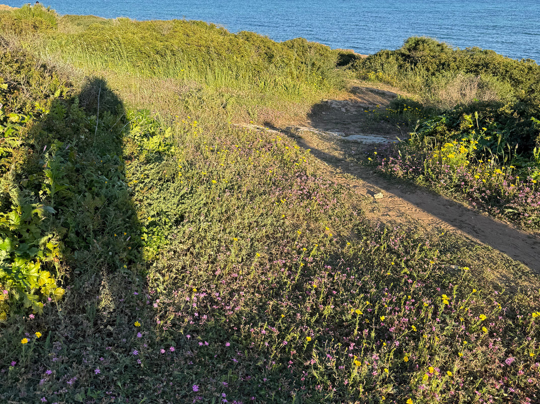 费利西亚别墅酒店主图