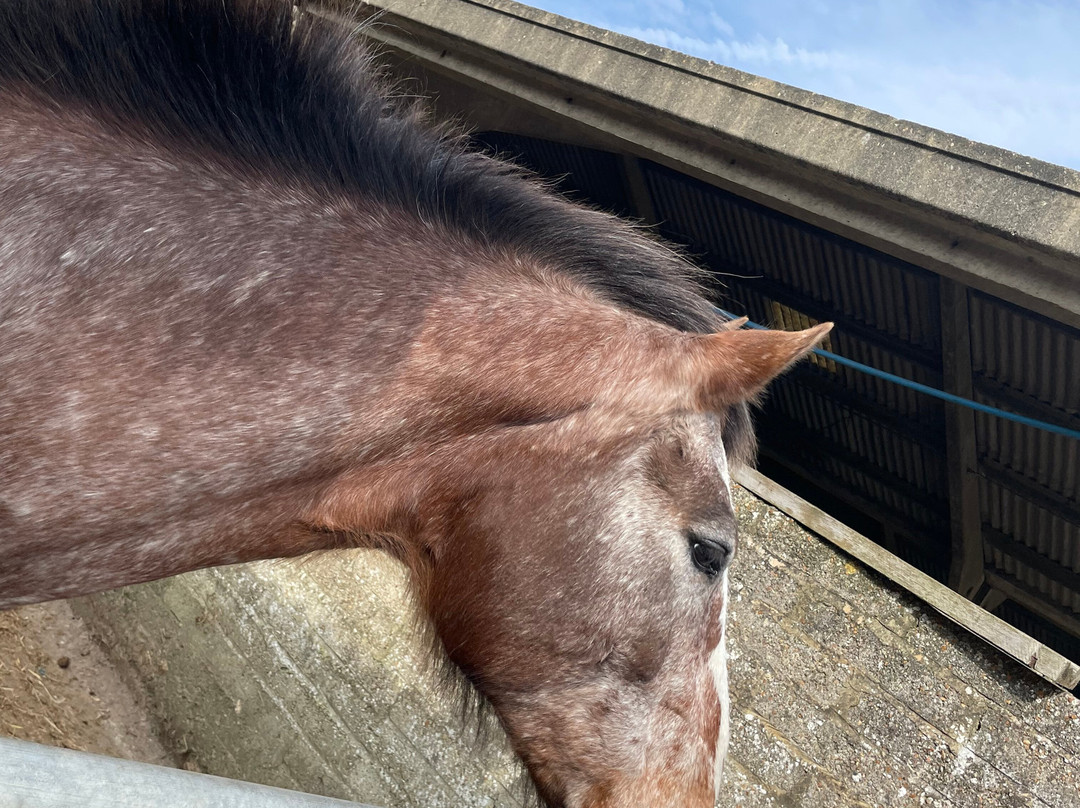 Coombes Farm-Coombes必去景点