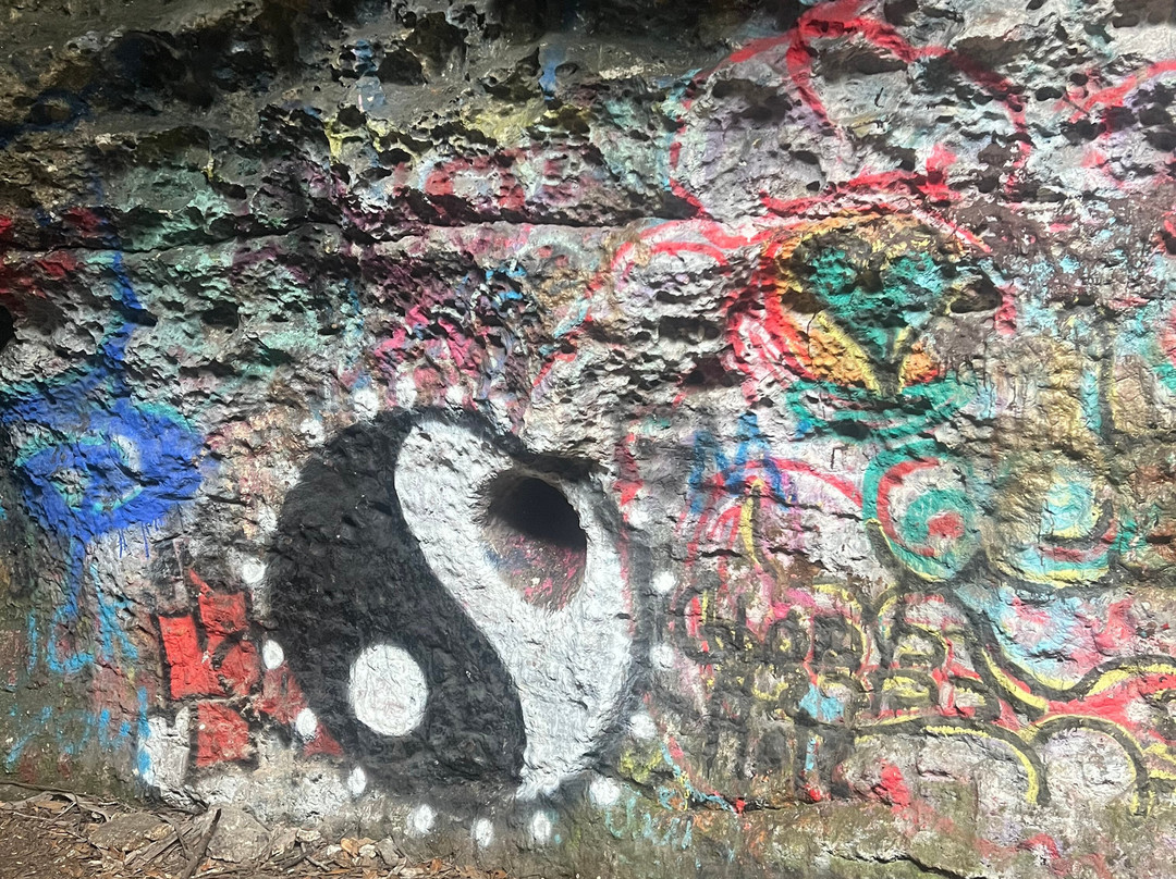 Dames Cave-Lecanto必去景点