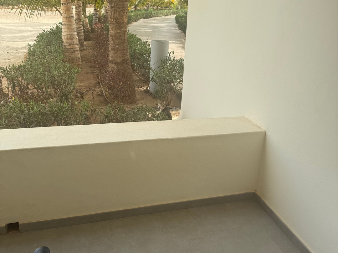 丽笙宫殿酒店博阿维斯塔 - 全包主图