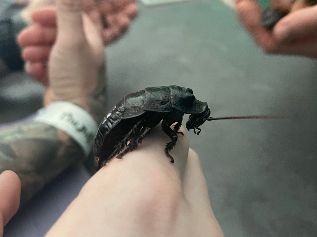 The Bug Parc-Lenwade必去景点
