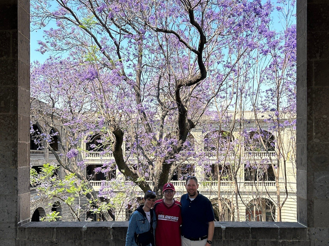 Journeys Beyond the Surface-墨西哥城必去景点