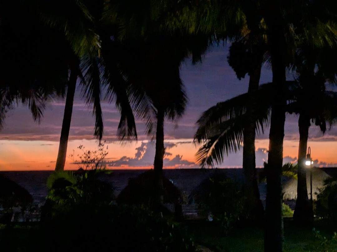 棕榈海滩水疗度假村主图