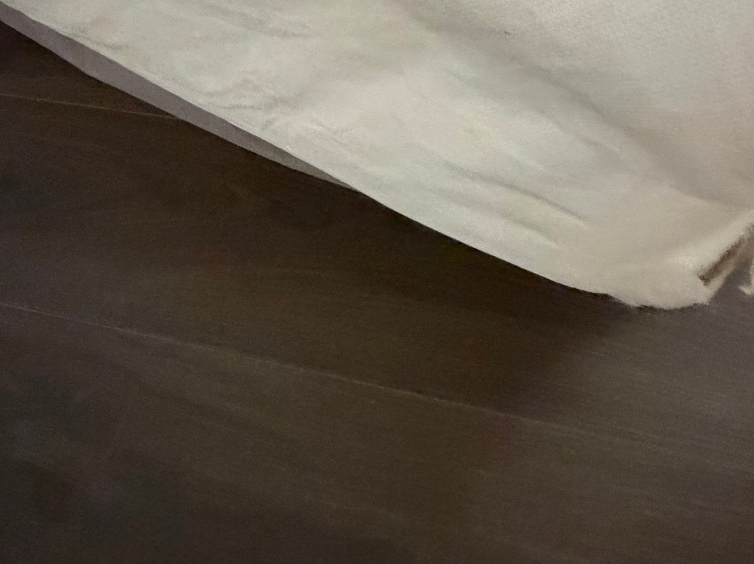 辛辛那提河畔雷迪森酒店主图