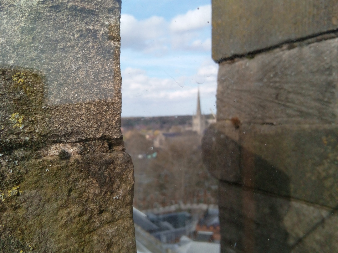 Norwich Castle Museum & Art Gallery-诺威奇必去景点