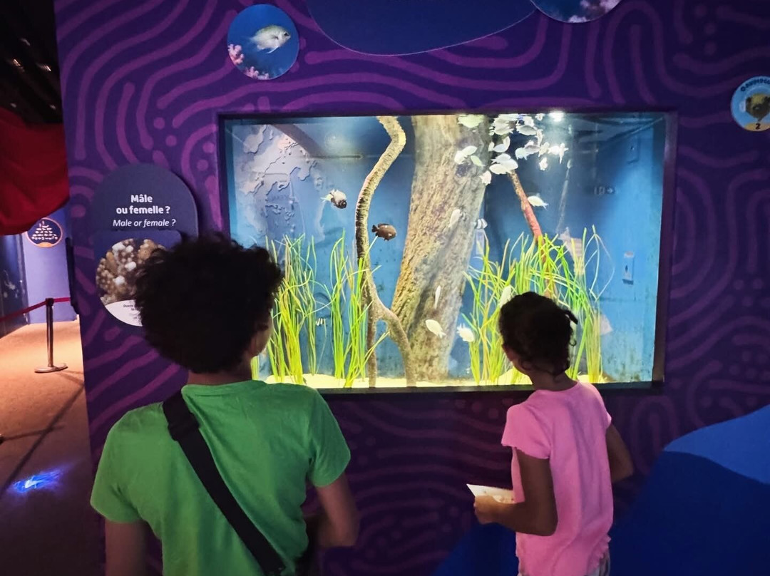 Odysseo Oceanarium Mauritius-路易士港必去景点