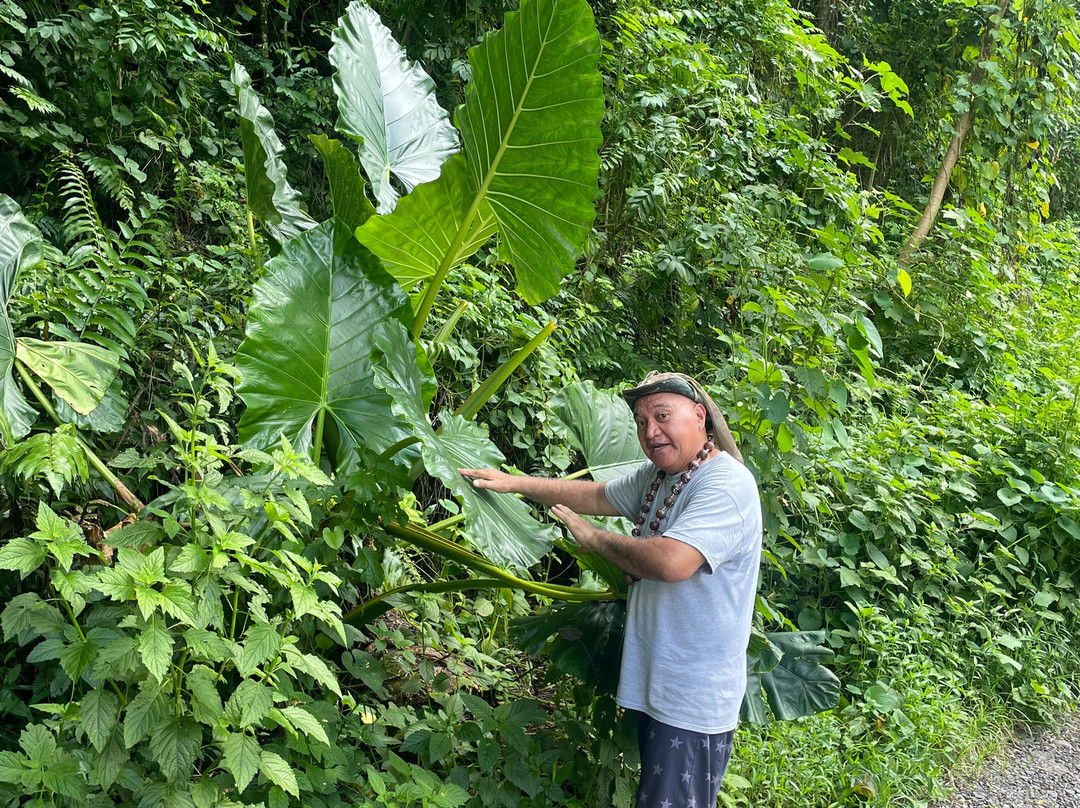 Karatu Expedition Safari-阿鲁埃必去景点