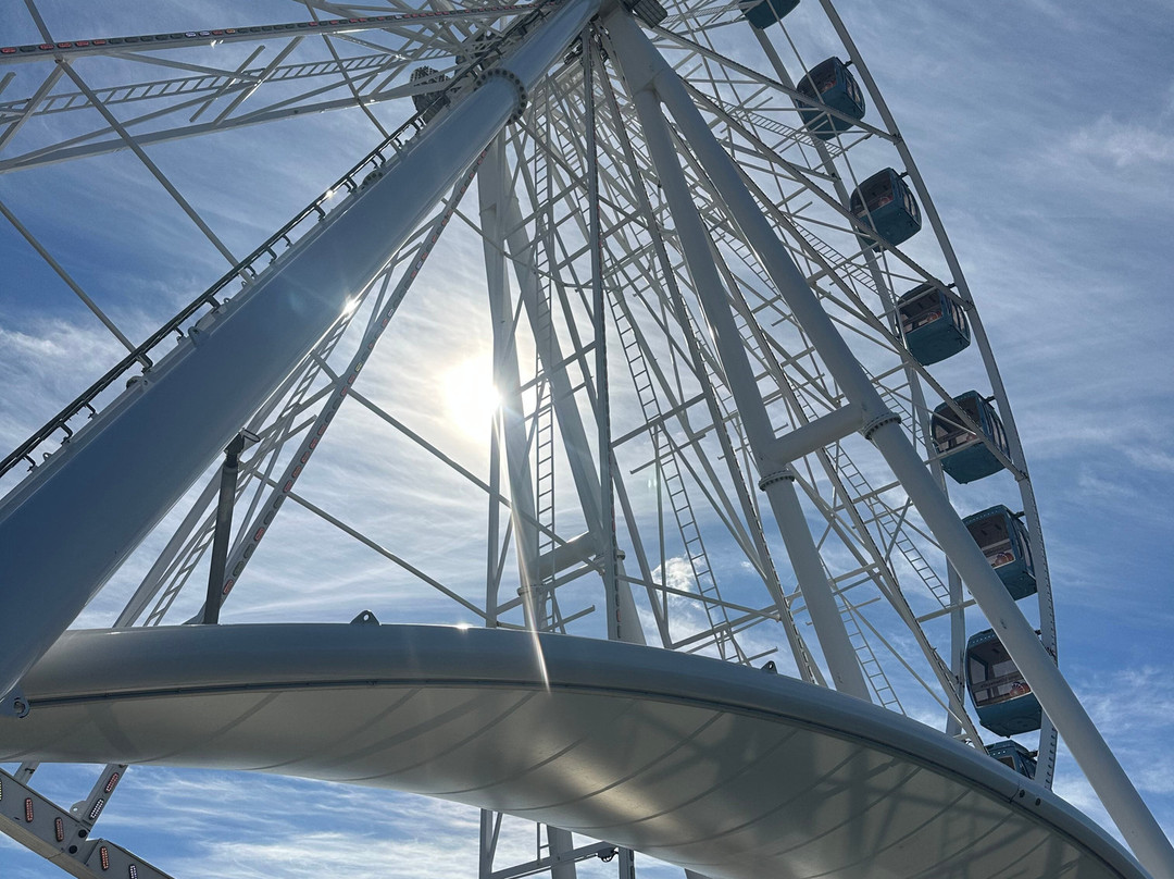Skywheel Of Tallinn-塔林必去景点