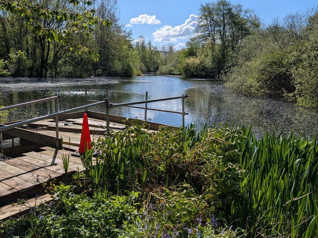 Trafford Ecology Park-Trafford Park必去景点