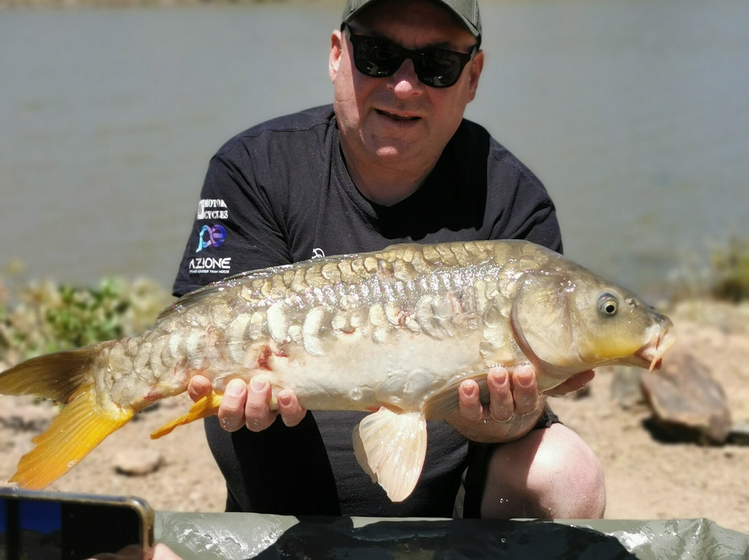 Carp Gran Canaria-San Bartolome de Tirajana必去景点