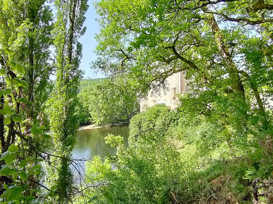 Chateau De La Treyne主图