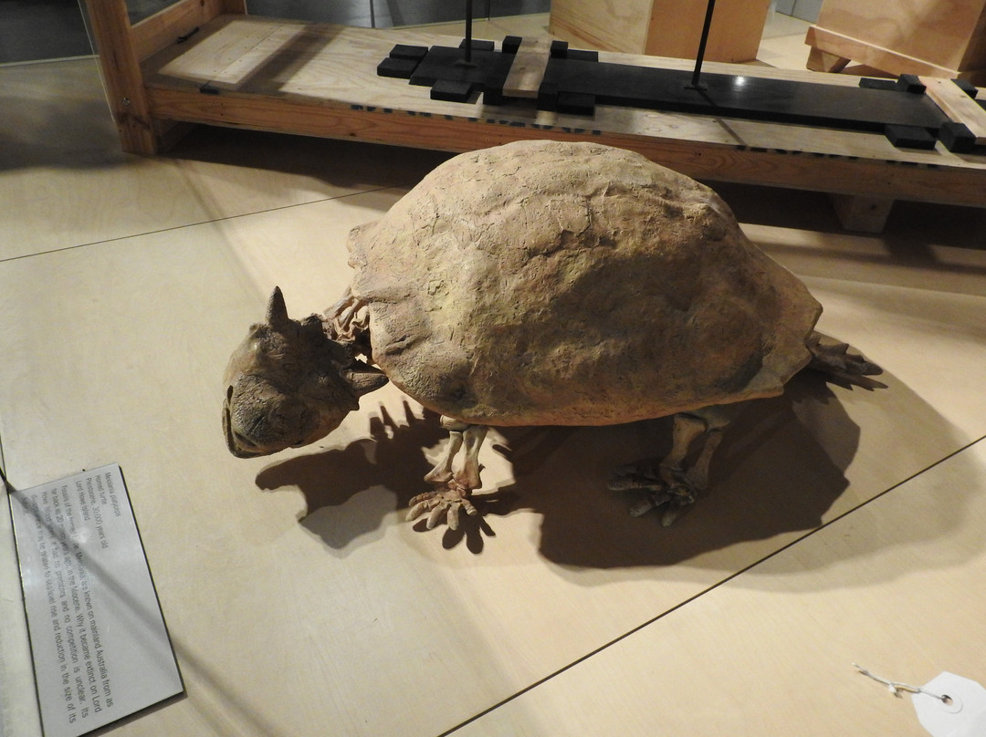 Museums Discovery Centre-城堡山必去景点