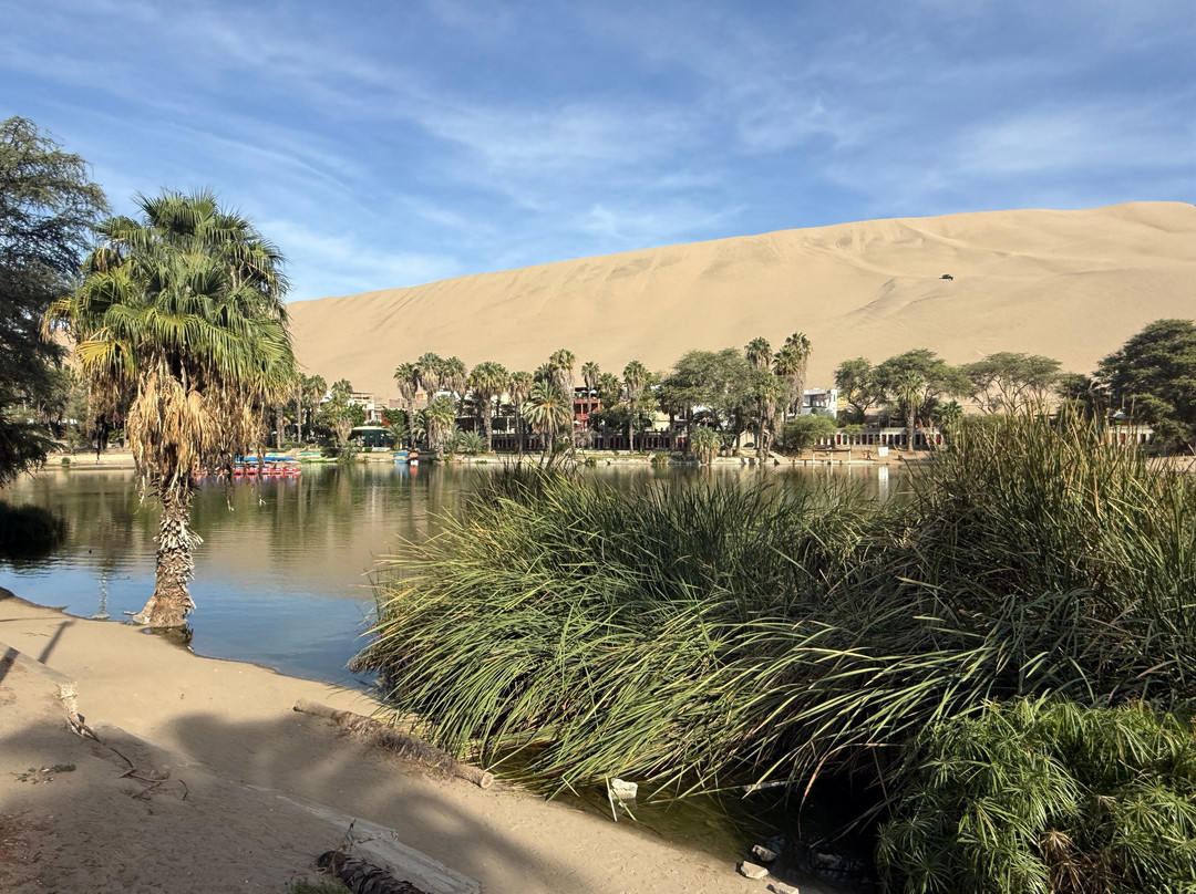 Huacachina Oasis-Huacachina必去景点
