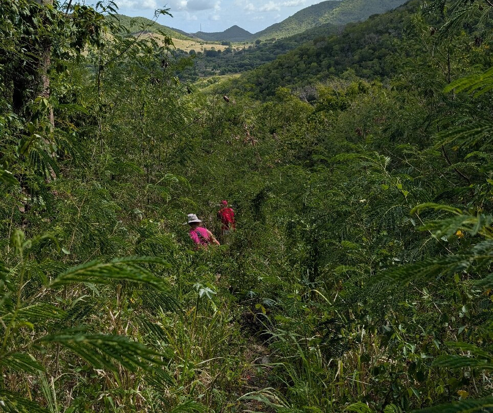 Antigua Hiking And Snorkeling Tours-圣 约翰必去景点