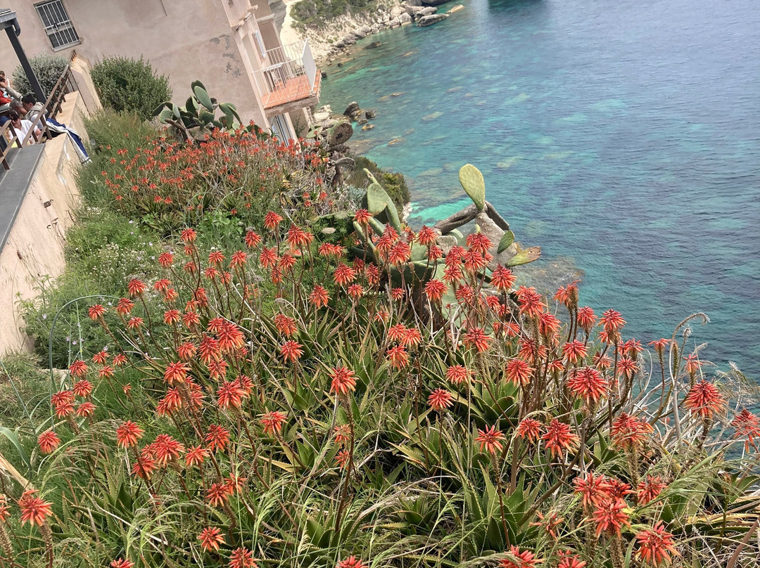 Corsica Natura-Bocognano必去景点