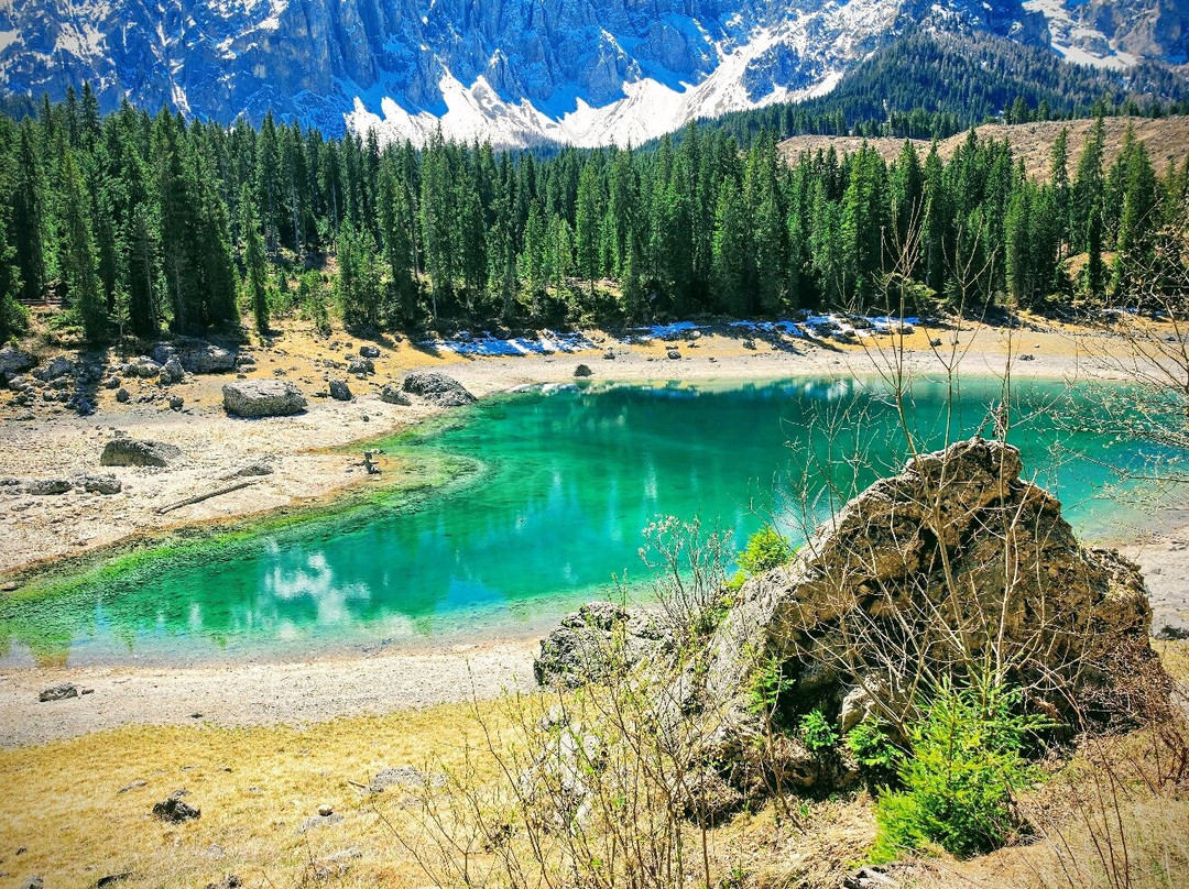 Cyprianerhof Dolomit Resort主图